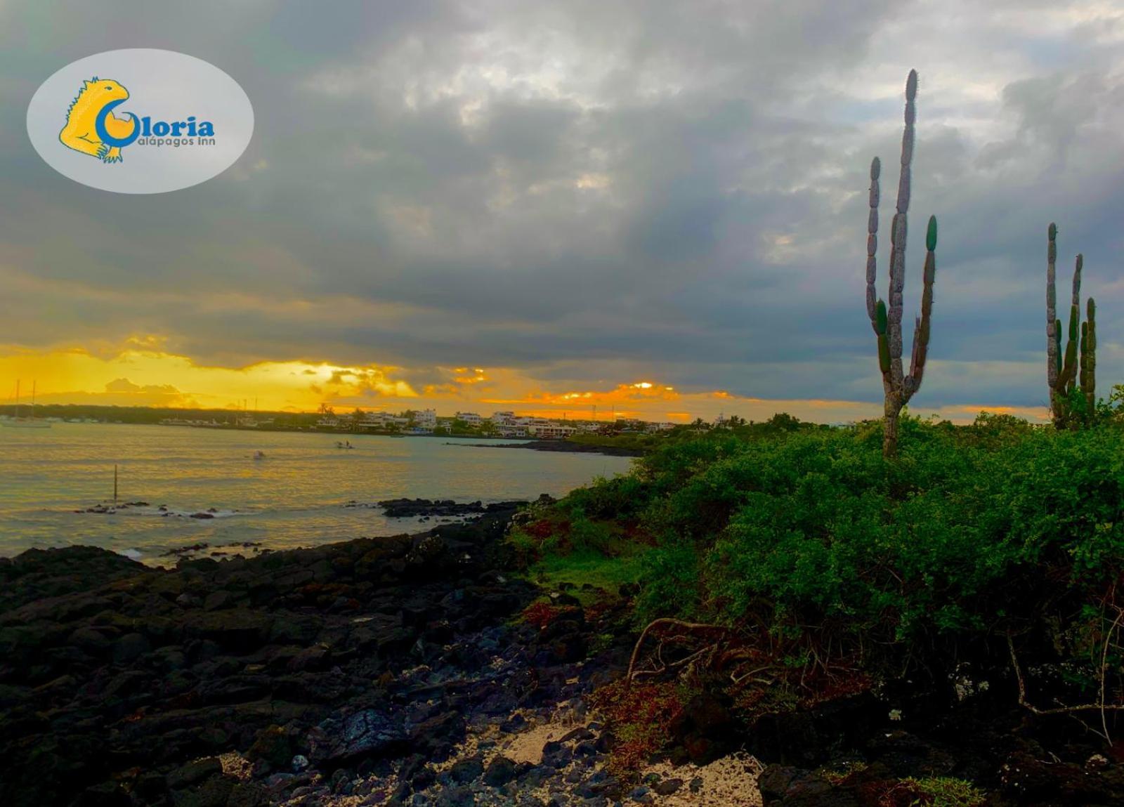 Gloria - Galapagos Inn Пуэрто-Айора Экстерьер фото